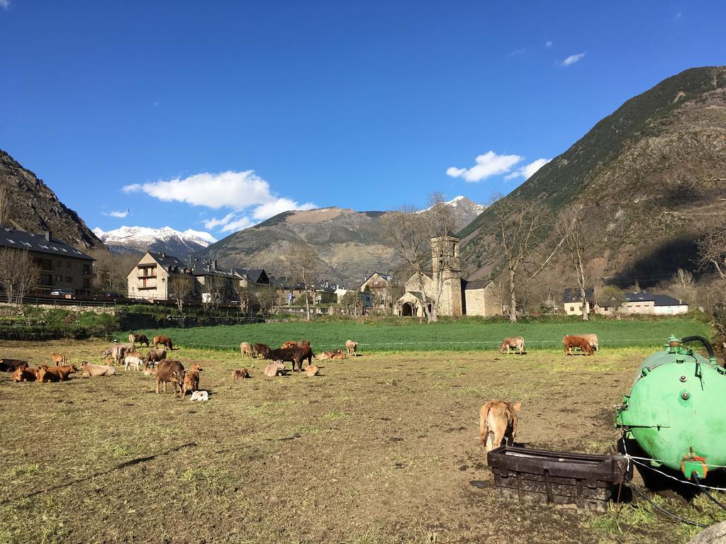 Camping Boneta Barruera Bagian luar foto