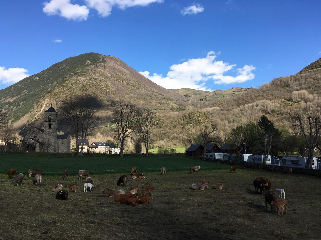 Camping Boneta Barruera Bagian luar foto